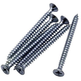 Future Tirefonds Zingués 3,5 x 25 mm - Étui de 20 unités