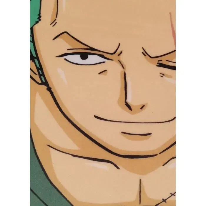 One Piece - Coussin décoratif 3D - Personnage Roronoa Zoro - En microfibre - 40 cm - Pour chambre ou salon One Piece - Coussin décoratif 3D - Personnage Roronoa Zoro - En microfibre - 40 cm - Pour chambre ou salon