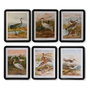 DKD Home Decor Cadre Oiseaux Noir Verre et Bois MDF 40 x 50 x 1,8 cm (Lot de 6)