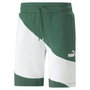 Short de Sport Puma Vert Homme
