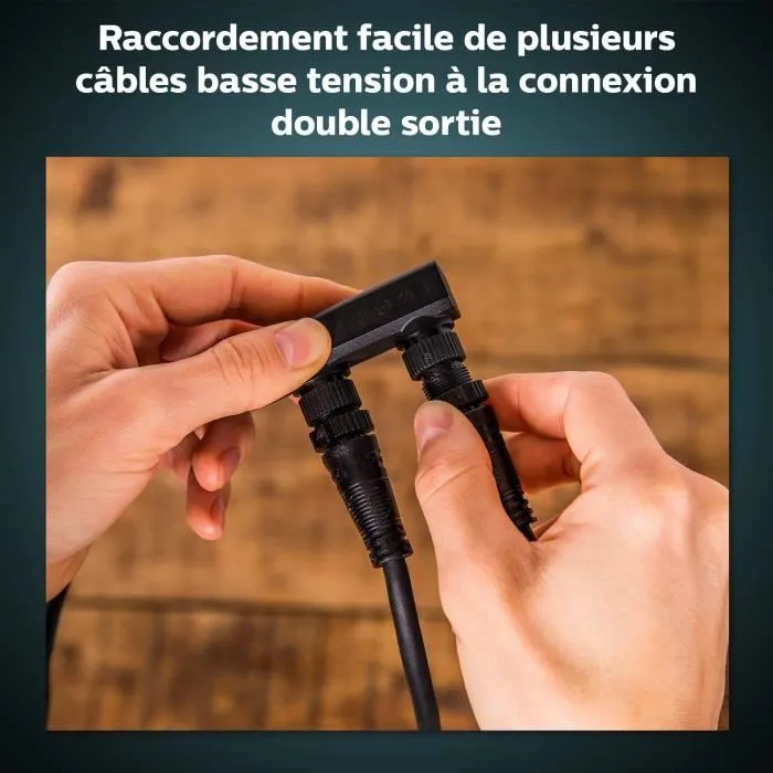 Philips Hue - Câble d'alimentation 100W pour éclairage extérieur Hue Outdoor - Noir