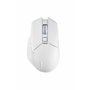 Powercolor 2U1-G000041001