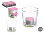Acorde Porte-bougie Tealight Orchidée 6h en Verre Violet 7x7x7 cm (Set de 12)