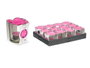 Acorde Porte-bougie Tealight Orchidée 6h en Verre Violet 7x7x7 cm (Set de 12)