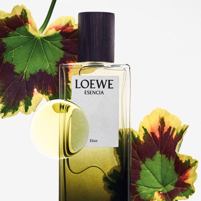 Loewe Essence Elixir Eau de Parfum Vapo 50 ml Amaderada