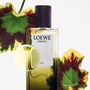 Loewe Essence Elixir Eau de Parfum Vapo 50 ml Amaderada