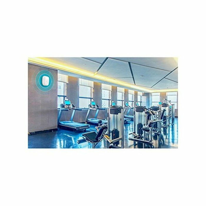 Point d'Accès TP-Link EAP110 Blanc