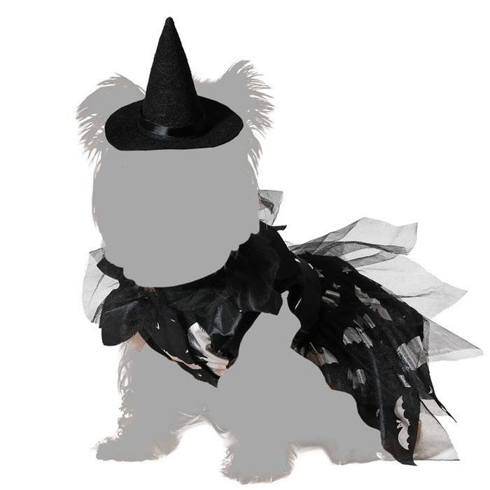 Déguisement pour Chien ou Chat Sorcière Halloween Noir Taille S - Costume avec Robe et Chapeau en Polyester