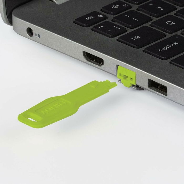 Câble USB LINDY Vert