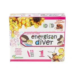 PINISAN Energisan Diver 15 flacons