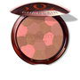 Guerlain Terracotta Light Poudre Bronzante #04-Deep Cool 10g
