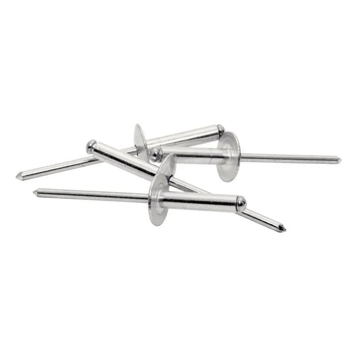 RAPID Rivets XL 50 pièces, aluminium, Ø4 x 12 mm, tête large pour haute résistance à l'arrachement et maintien optimal des matériaux souples RAPID Rivets XL 50 pièces, aluminium, Ø4 x 12 mm, tête large pour haute résistance à l'arrachement et maintien optimal des matériaux souples