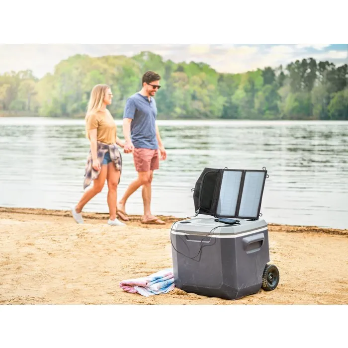 Ryobi RYSP14A Panneau solaire 14W avec sortie USB