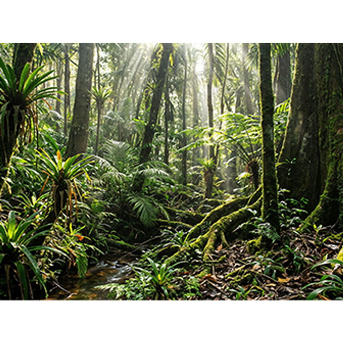 Ordinateur Portable HP D4DG6AT#ABE 14" 32 GB RAM 1 TB SSD