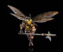 Four Horsemen Toy Design Cosmic Legions: OxKrewe Book Two Harrow Zone figurine Anthophilees 18 cm