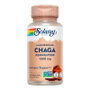 Solaray Chaga Fermenté 500 mg 60 Capsules