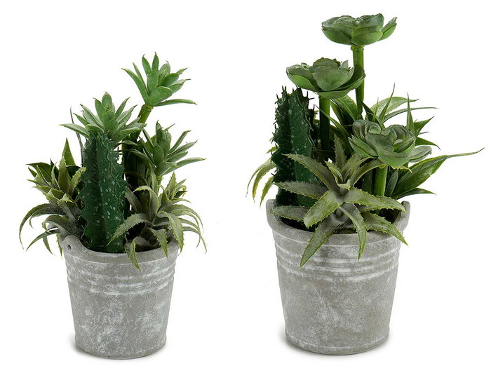 Ibergarden Lot de 2 Pots pour Cactus Plantes Rond 15x24x15 cm Plastique et Ciment Vert et Argent (Set de 12) Ibergarden Lot de 2 Pots pour Cactus Plantes Rond 15x24x15 cm Plastique et Ciment Vert et Argent (Set de 12)