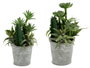 Ibergarden Lot de 2 Pots pour Cactus Plantes Rond 15x24x15 cm Plastique et Ciment Vert et Argent (Set de 12)