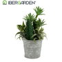 Ibergarden Lot de 2 Pots pour Cactus Plantes Rond 15x24x15 cm Plastique et Ciment Vert et Argent (Set de 12)