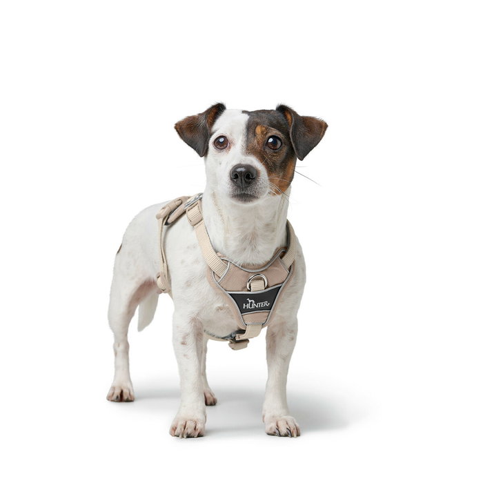 Harnais pour Chien Hunter DIVO UP Beige S