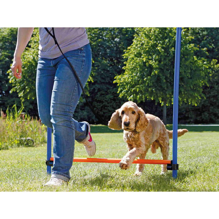 Jouet de dressage Trixie