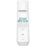 Goldwell Dualsenses Scalp Specialist Shampooing Antipelliculaire 250 ml