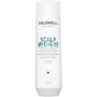 Goldwell Dualsenses Scalp Specialist Shampooing Antipelliculaire 250 ml