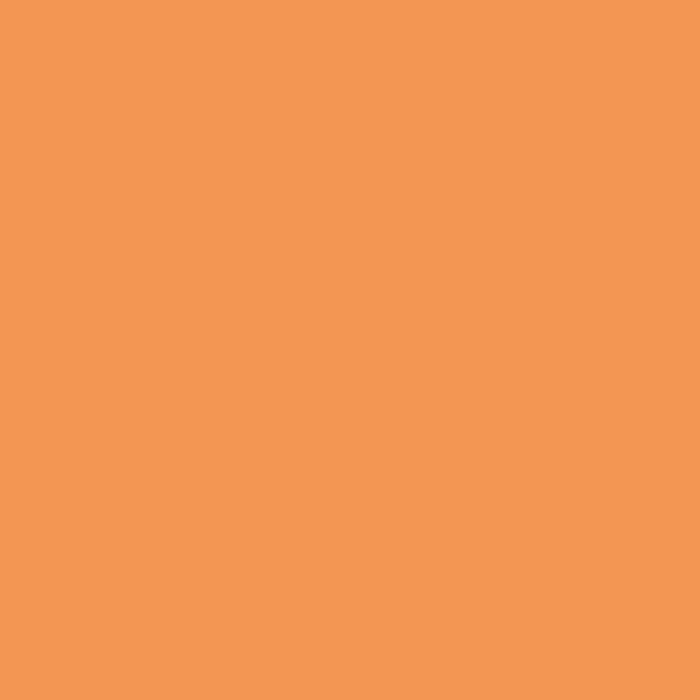 Talens Art Creation Peinture Textile Orange Néon 50 ml Talens Art Creation Peinture Textile Orange Néon 50 ml