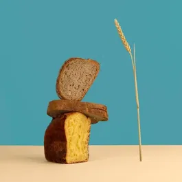 H.KoeNIG BAKE340 - Machine à Pain avec Distributeur de Céréales - 12 Programmes, 3 Niveaux de Cuisson, Capacité 800g - 550W - Blanc