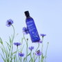 Melvita Eau Florale de Bleuet 200 ml