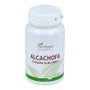 PLANTAPOL Artichaut 100 comprimés