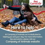 Aimé Pet Corrector - Sifflet de dressage dissuasif pour chien