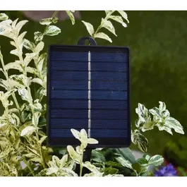 Smart Garden Guirlande Festoon MultiPower BT - 30 Ampoules - Alimentation Solaire ou Basse Tension - Éclairage Blanc Chaud ou Multicolore - 35/100 Lumens - Longueur 4.35 m