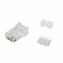 Connecteur RJ45 Catégorie 6 UTP Equip 121146 Transparent 100 Unités