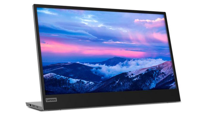 Lenovo L15 USB-C Moniteur Portable 15,6 pouces Full HD IPS Gris/Noir