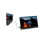 Lenovo L15 USB-C Moniteur Portable 15,6 pouces Full HD IPS Gris/Noir