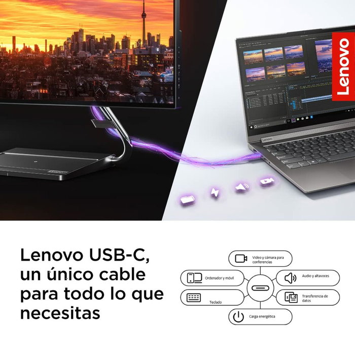 Lenovo L15 USB-C Moniteur Portable 15,6 pouces Full HD IPS Gris/Noir