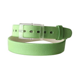 Bracelet à montre Swatch ALK264 Vert
