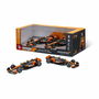 Lot de 2 Voitures McLaren F1 1:43 Noir