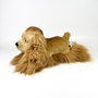 Deqube Peluche Chien Cocker Spaniel Couché 25cm - Jouet Bocalan