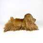 Deqube Peluche Chien Cocker Spaniel Couché 25cm - Jouet Bocalan