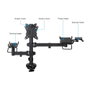 TooQ Support de Bureau pour 2 Écrans 17 à 32 Pouces, VESA 75x75 / 100x100 mm, Inclinable, Pivotant, Noir