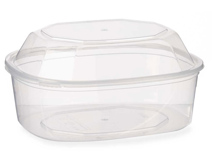 Leknes Boîte de Conservation Rectangulaire 1500 ml Plastique Transparent 18x10,5x21,5 cm (Set de 8)