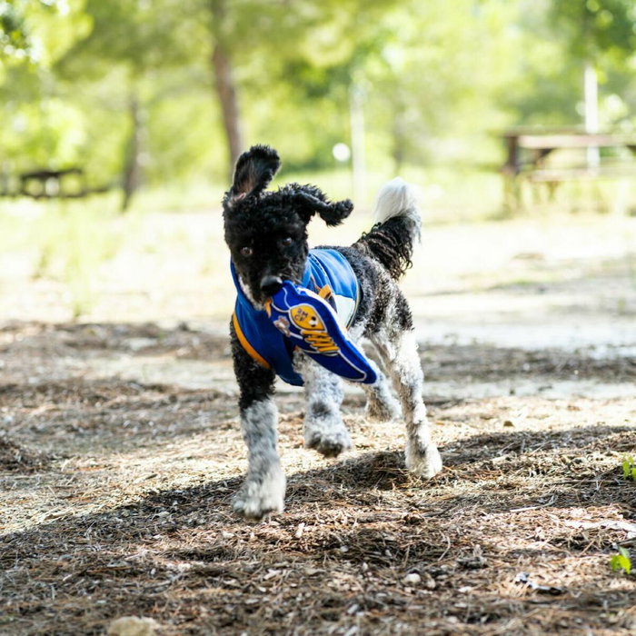 Jouet pour chien Real Madrid C.F. Bleu 10 x 30 x 7 cm Jouet pour chien Real Madrid C.F. Bleu 10 x 30 x 7 cm