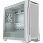 Boîtier ATX semi-tour Gigabyte C102 GLASS Blanc
