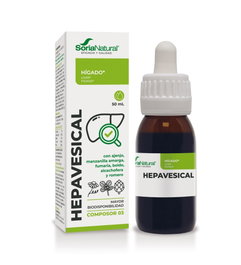 Hepavesical Composor 03