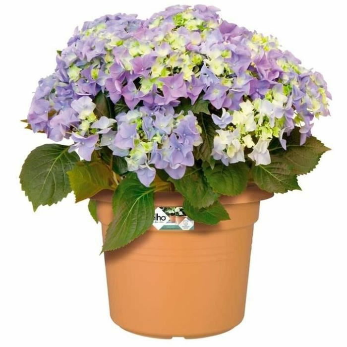 Elho Pot de fleurs Green Basics cilinder - Ø 43,8 cm - Terre cuite doux