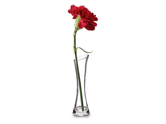 GIFTDECOR Vase en Cristal Concave Moyen Transparente