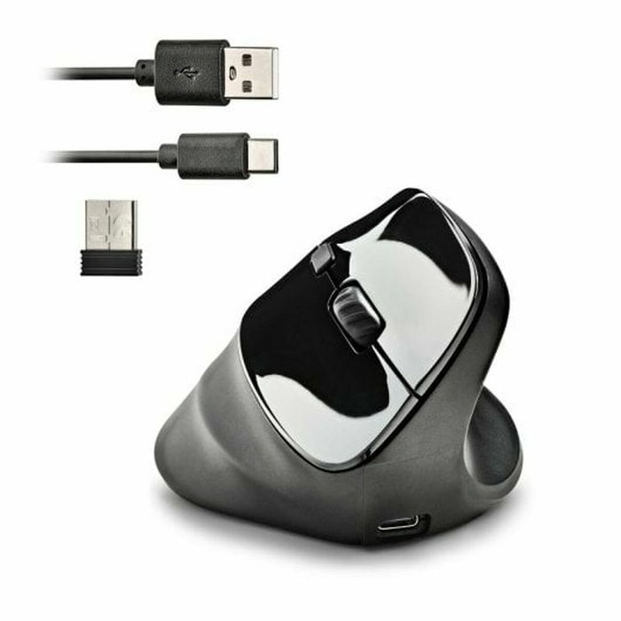 Souris NGS