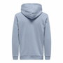 Sweat à capuche homme Only & Sons Onsceres Eventide Eau 124- Vibrant
